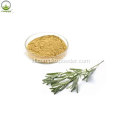 Asam Rosmarinic 10% Ekstrak Lemon Balm Untuk Kulit